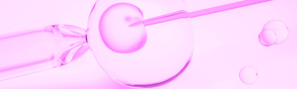 5 Misconceptions About In Vitro Fertilization (IVF)